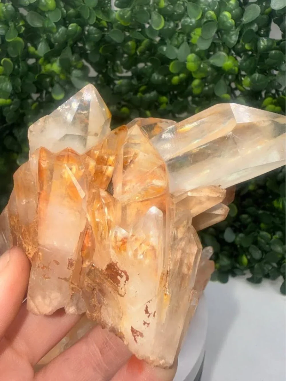 🔥 Golden Healer / Fire Quartz Cluster with Red Hematite Inclusions 🔥
